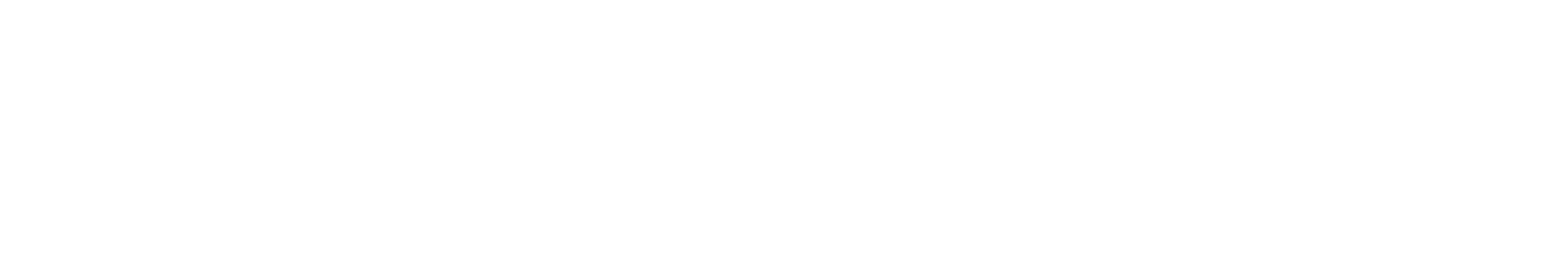 solomon